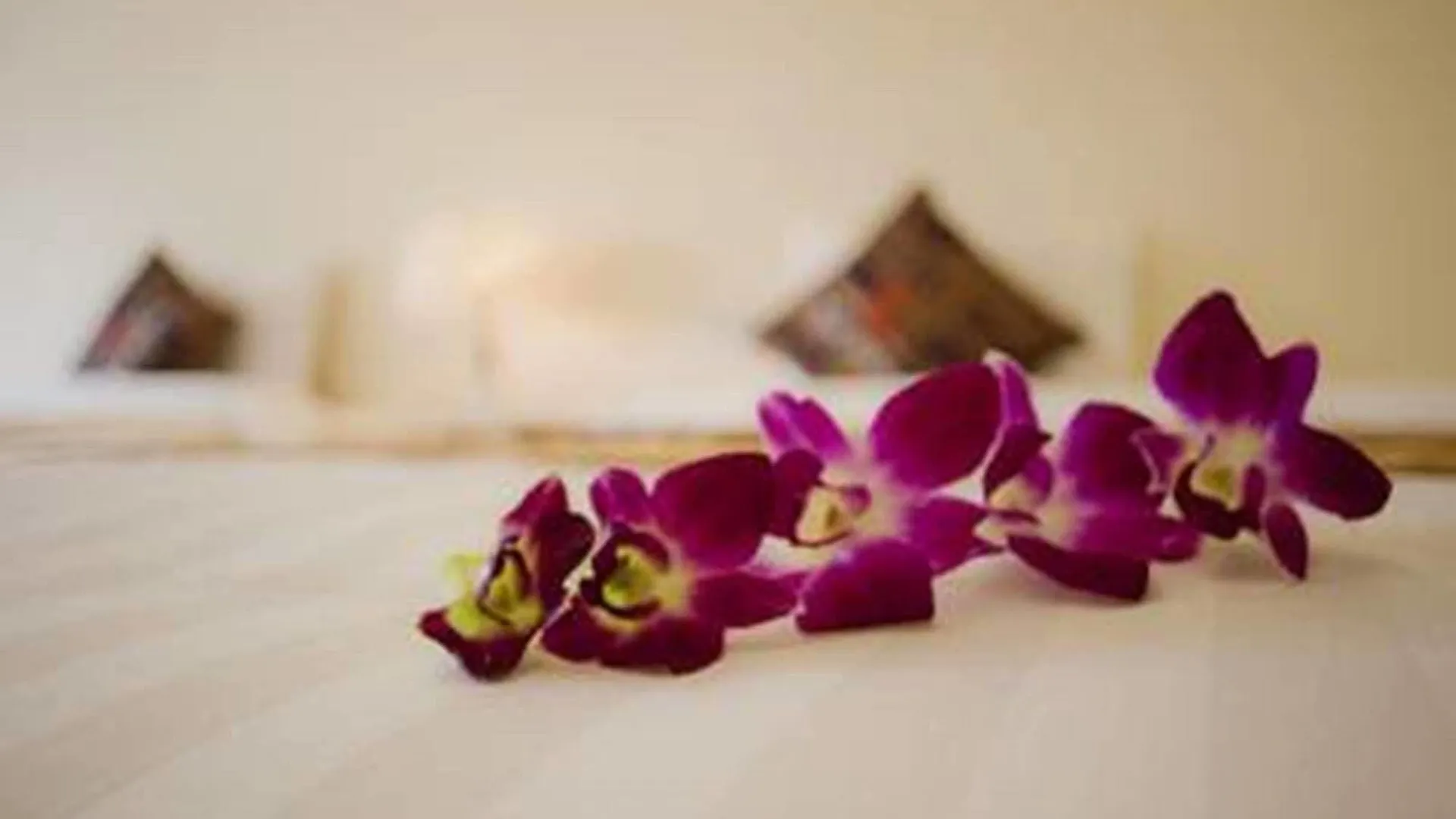 Blue Ocean 2 Hotel Ντα Νανγκ